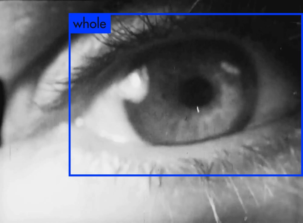 THROUGH THE MACHINE’S EYE: THE WORLD ACCORDING TO&nbsp;AI